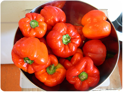 ripe red peppers